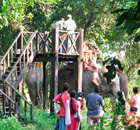 Chitwan National Park